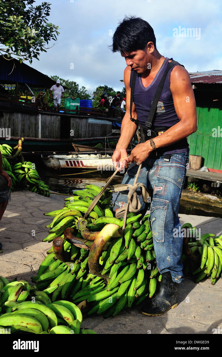 Bananas - Harbour in LETICIA. Department of Amazonas.COLOMBIA. Stock Photo