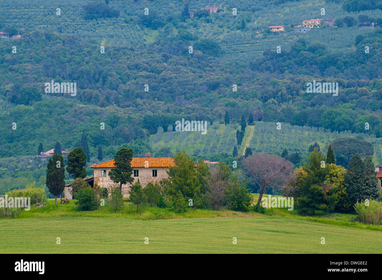A view of a villa in Tuscany near Lastra a Signa, Florence, Italy, Europe Stock Photo