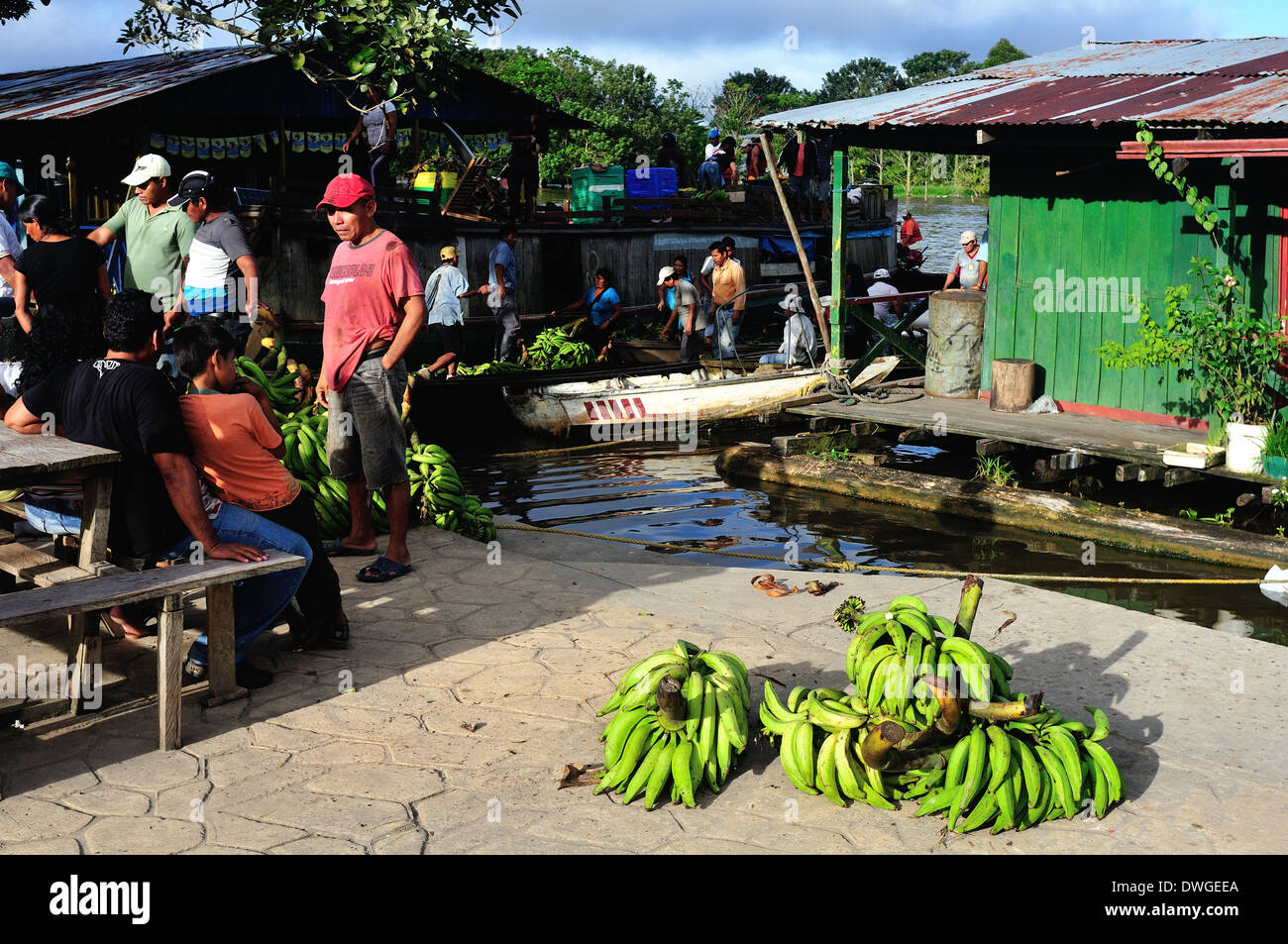 Bananas - Harbour in LETICIA. Department of Amazonas.COLOMBIA. Stock Photo