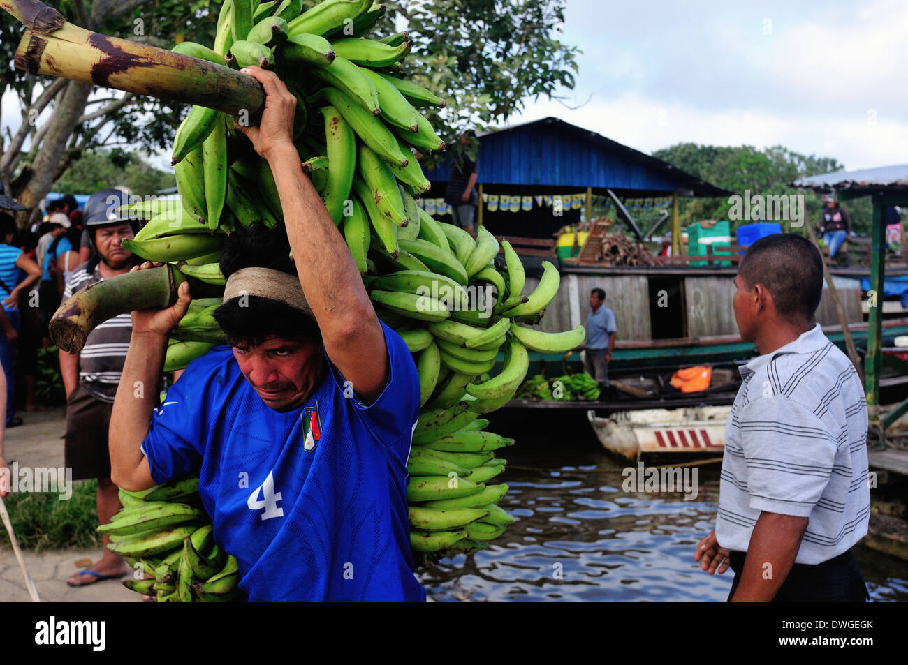 Bananas - Harbour in LETICIA. Department of Amazonas.COLOMBIA. Stock Photo