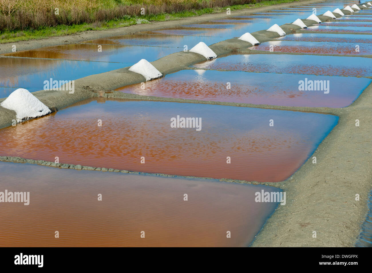 French marsh hires stock photography and images Alamy