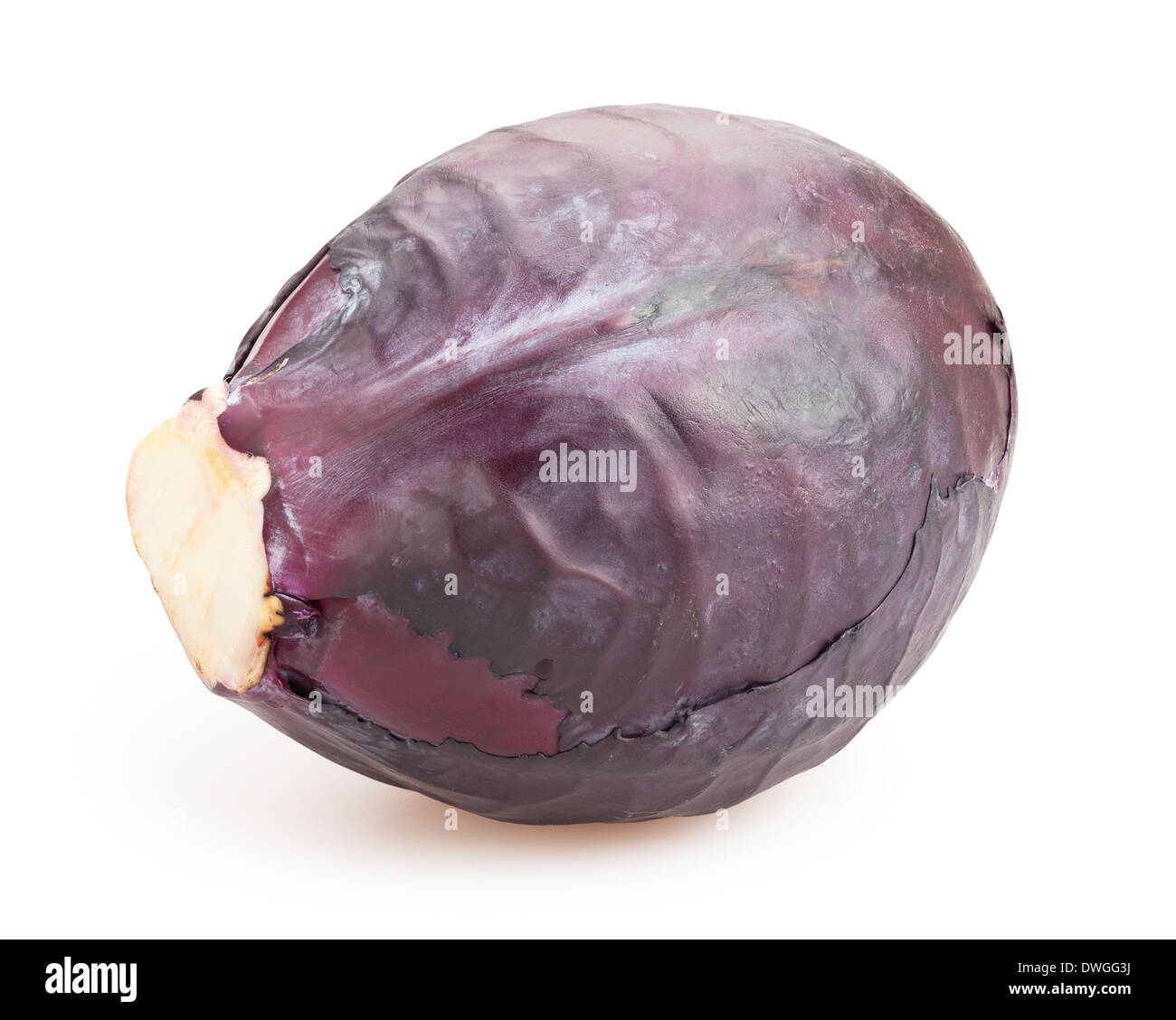 red cabbage isolated Stock Photo