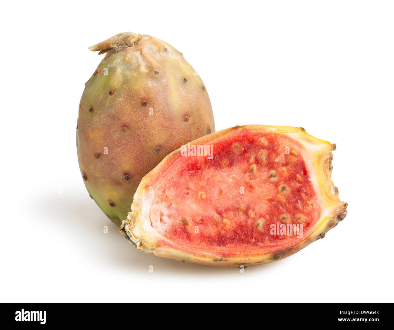 prickly pear isolated Stock Photo