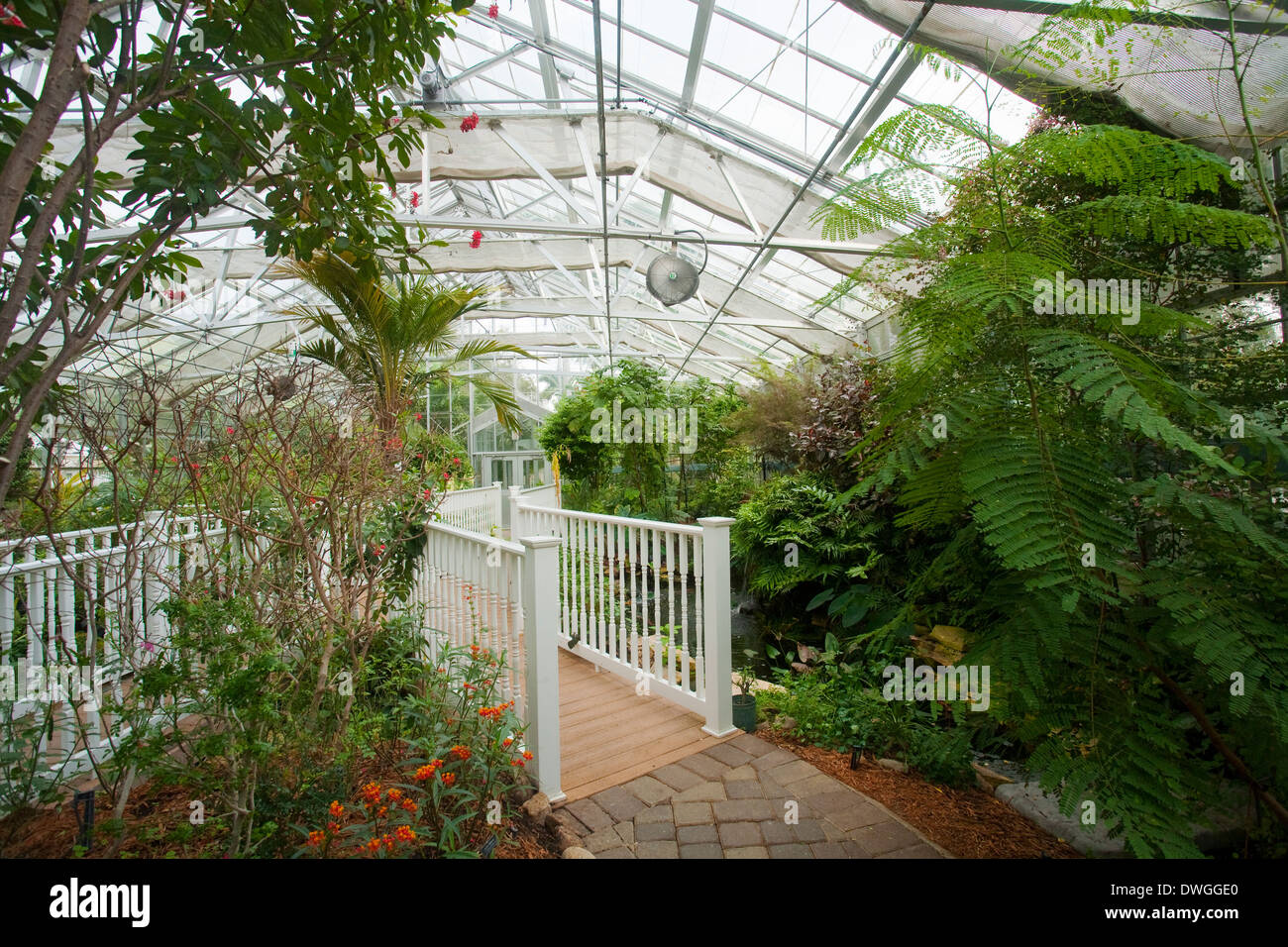 THE BUTTERFLY ESTATES, a glass conservatory for butterflies, Fort Myers, Florida, USA. Stock Photo