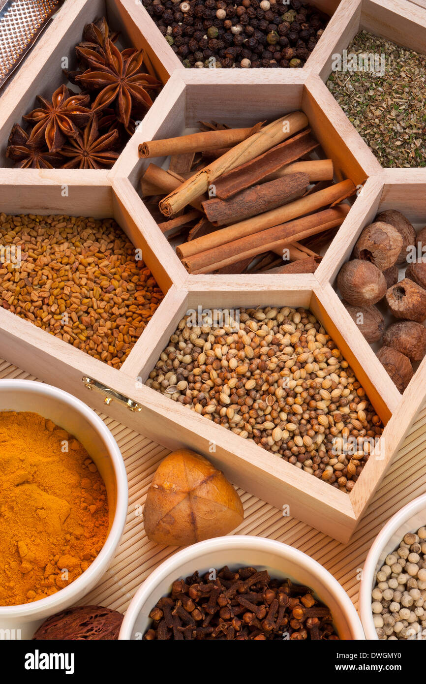 Fragrant Spices - Dill Seeds, Cinnamon, Cloves, Nutmeg, Turmeric, White Pepper, Star Anise, Black Pepper, Coriander Seeds. Stock Photo