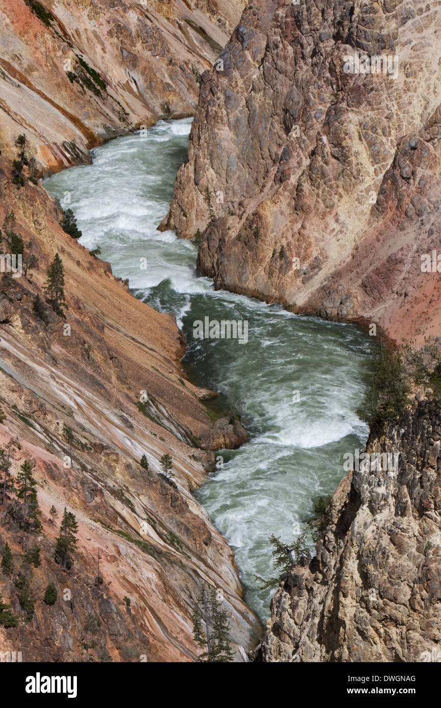 Grand Canyon of the Yellowstone River, Yellowstone National Park, Wyoming. Stock Photo