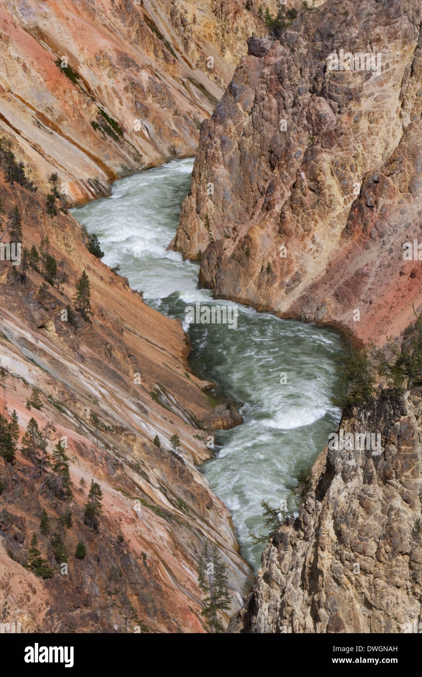 The Grand Canyon of the Yellowstone River in Yellowstone National Park, Wyoming. Stock Photo