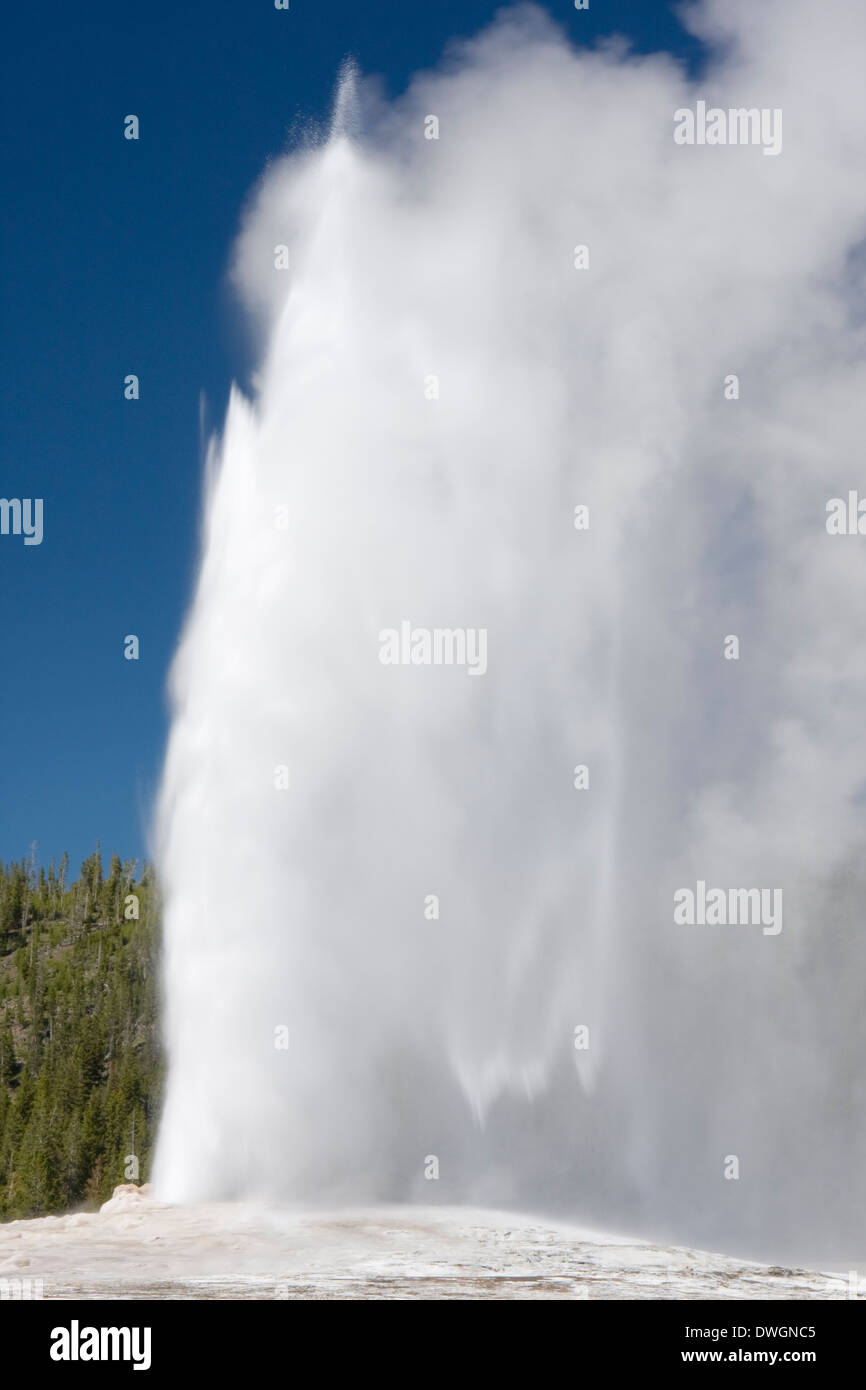 old-faithful-erupts-against-a-blue-summer-sky-in-yellowstone-national