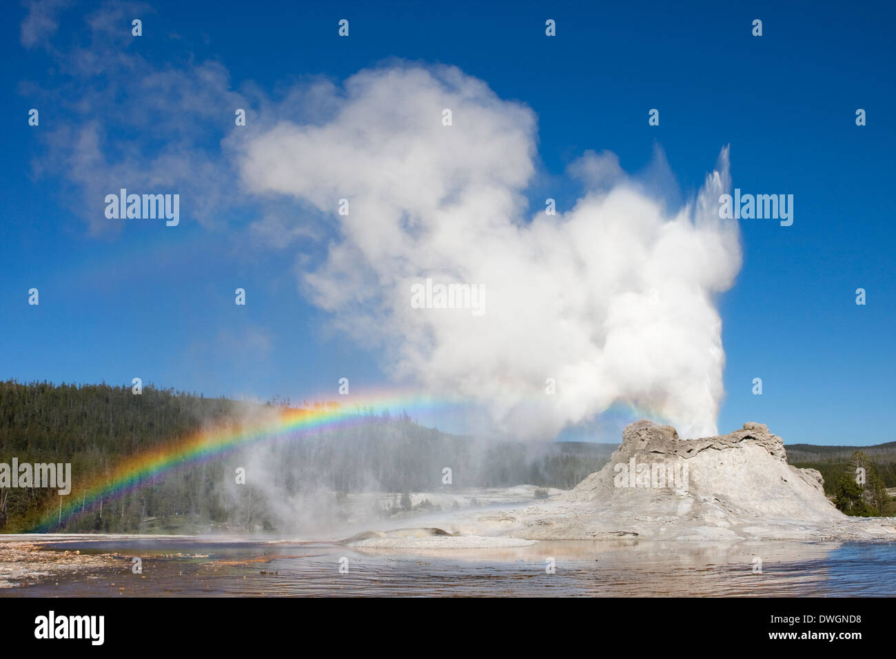 A rainbow appears above Castle Geyser during eruption in Upper Geyser Basin, Yellowstone National Park, Wyoming. Stock Photo
