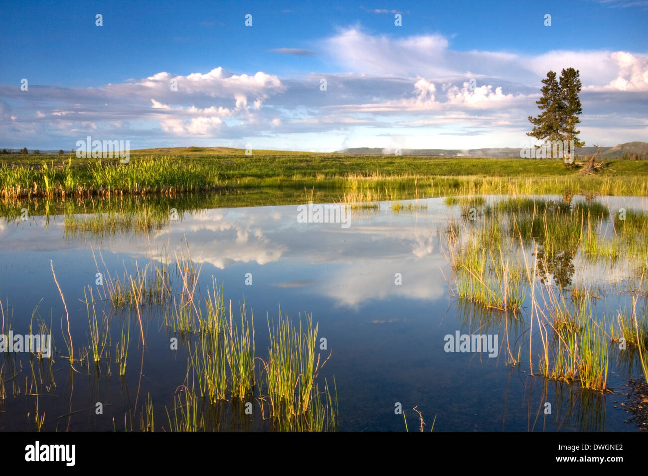 Fountain flat drive hires stock photography and images Alamy
