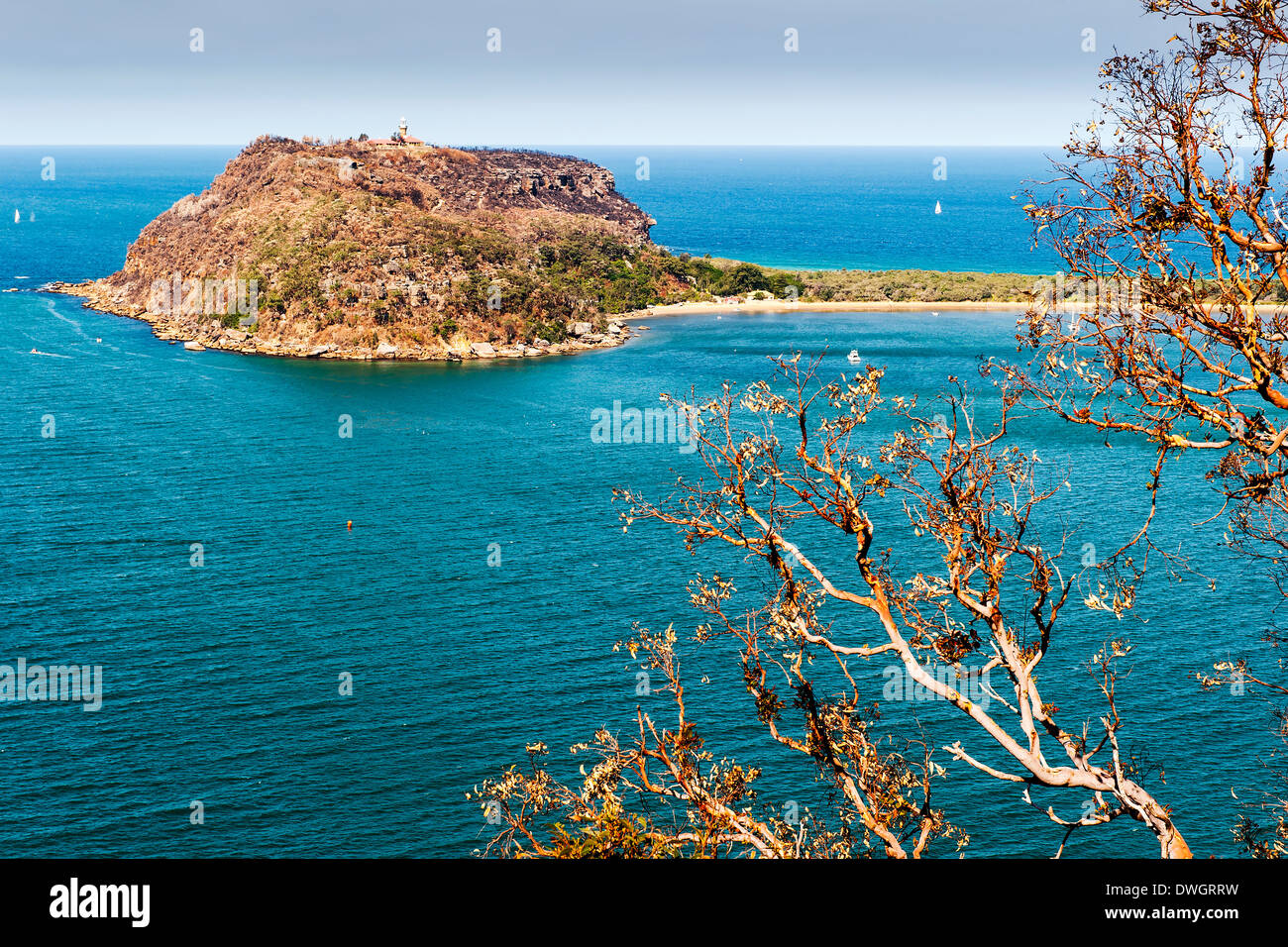 Palm Beach, New South Wales, Australia viewed from the Ku-Ring-Gai Chase National Park in Spring Stock Photo