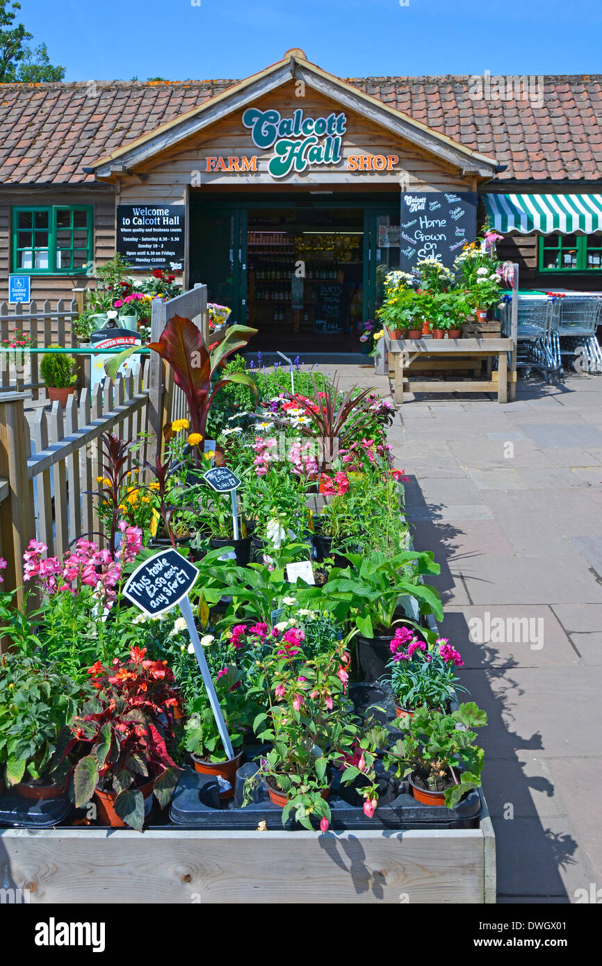 Garden plants for sale outside entrance to Farm Shop Stock Photo Alamy