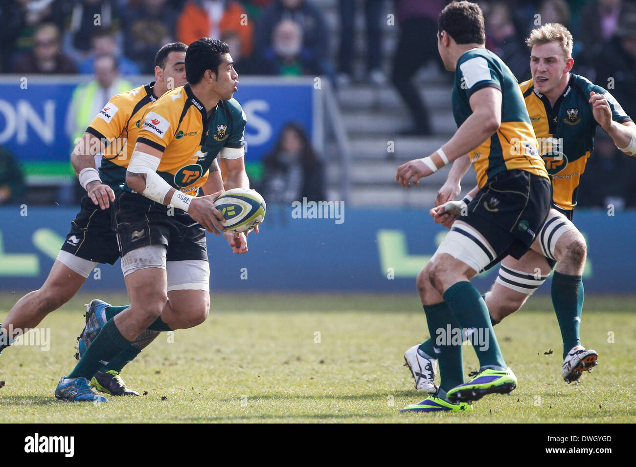 George Pisi High Resolution Stock Photography and Images - Alamy