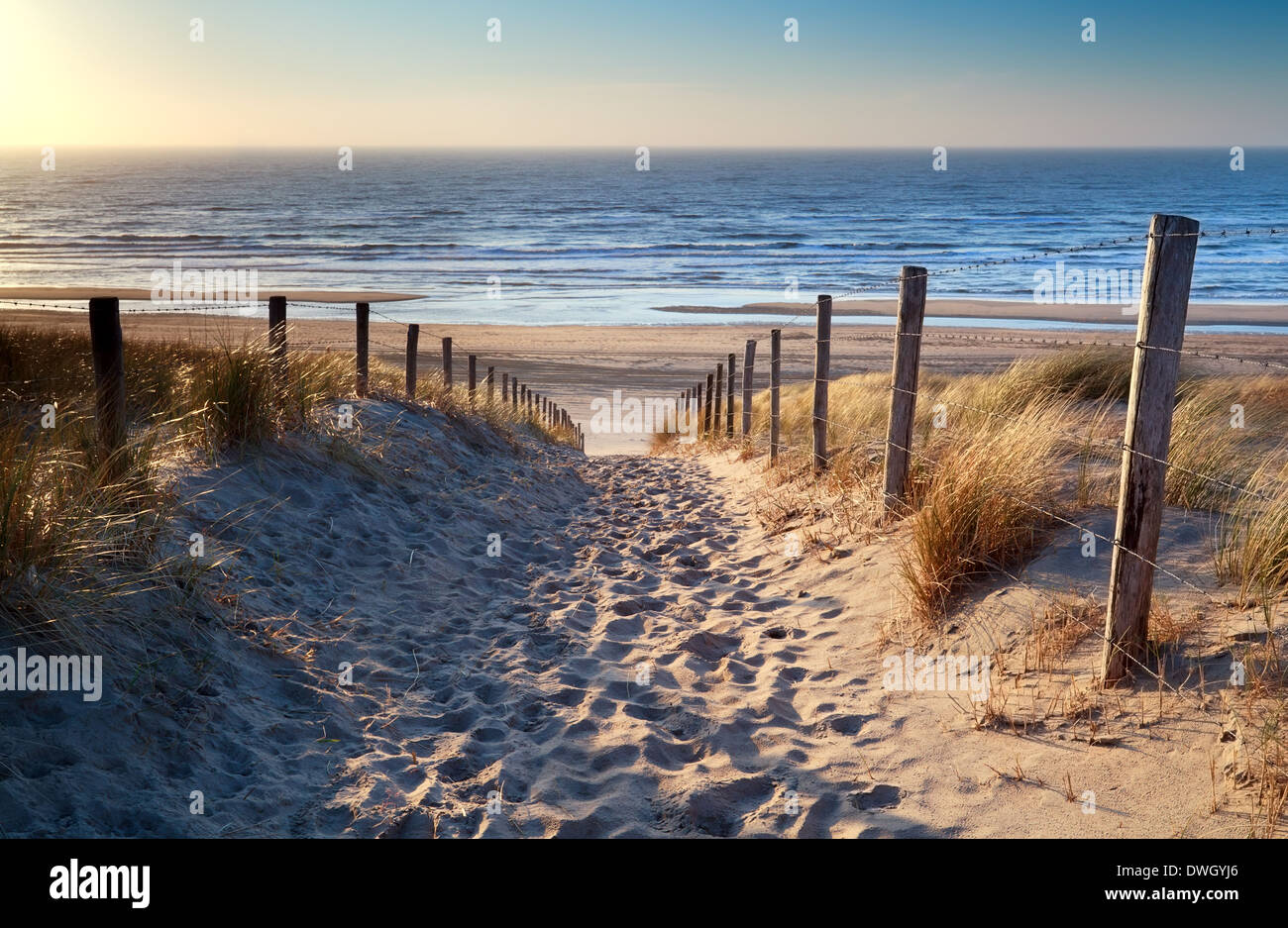 path to North sea beach in gold sunset sunshine, North Holland, Netherlands Stock Photo