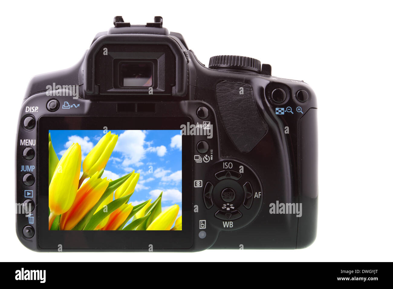 Recorte de la lente de la cámara profesional DSLR Fotografía de stock -  Alamy