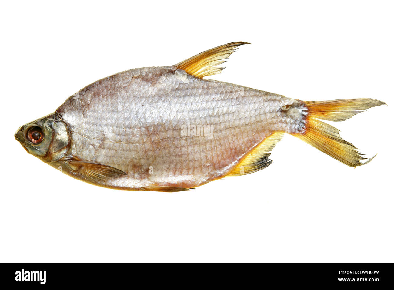 Dried bream isolated over the white background Stock Photo