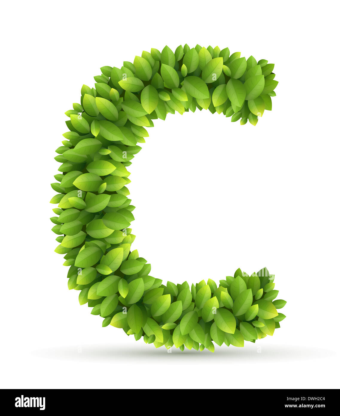 Letter  C,  vector alphabet of green leaves Stock Photo