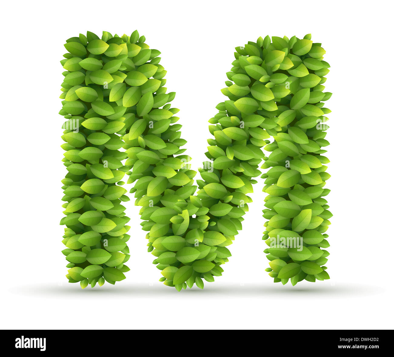 Letter M,  vector alphabet of green leaves Stock Photo