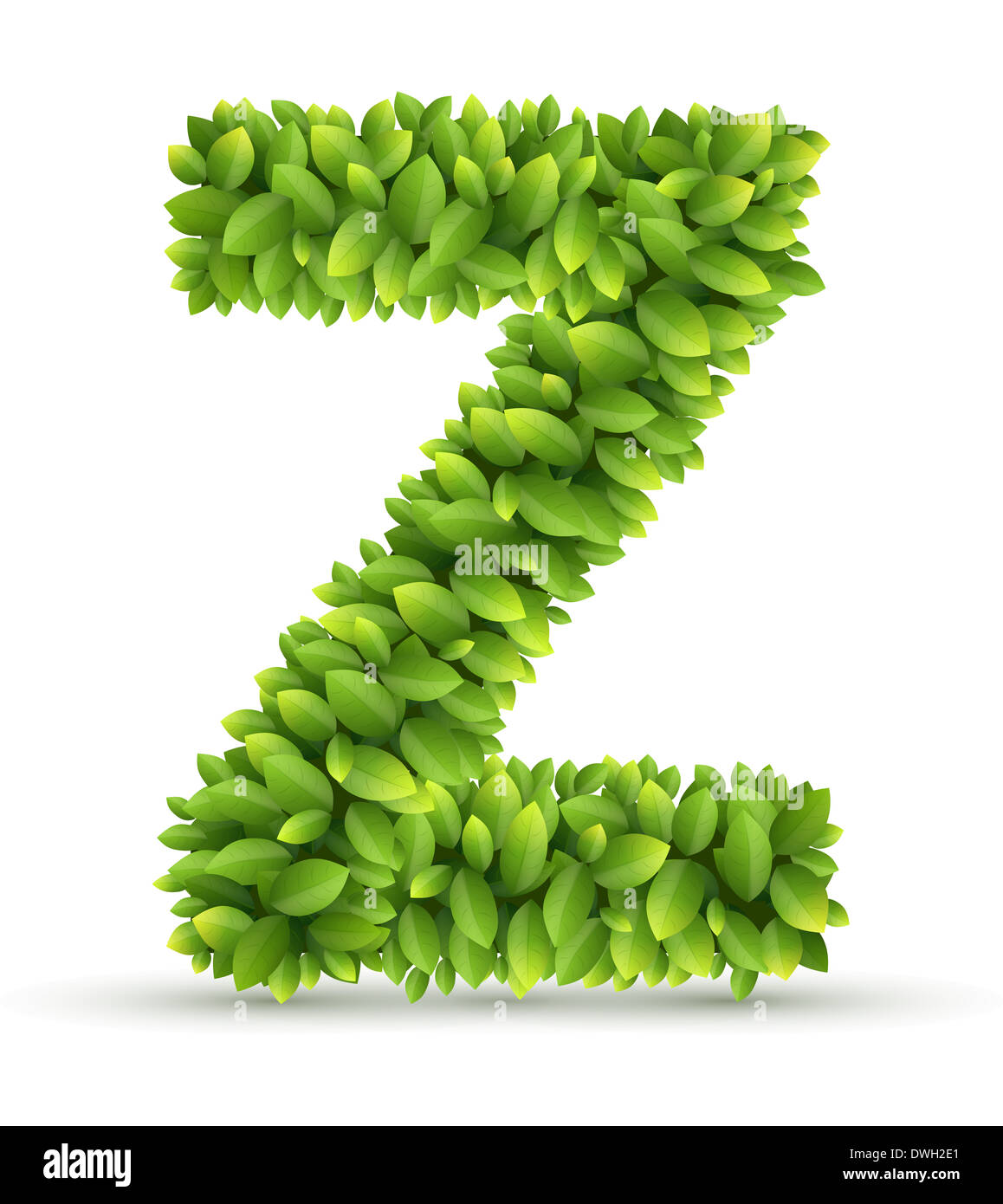 Letter Z,  vector alphabet of green leaves Stock Photo
