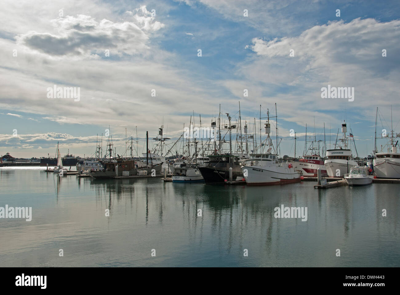 Commercial Fishing Boats at G Street Pier San Diego California Stock Photo