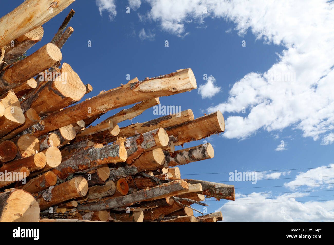 Scandinavian timber mills hi-res stock photography and images - Alamy