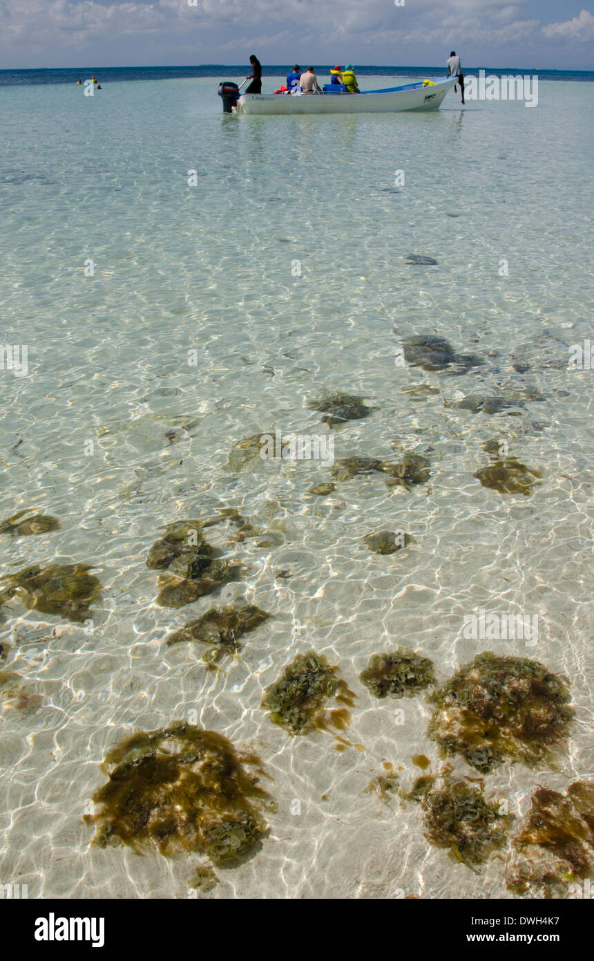 Beer beach and boat hi-res stock photography and images - Page 12 - Alamy