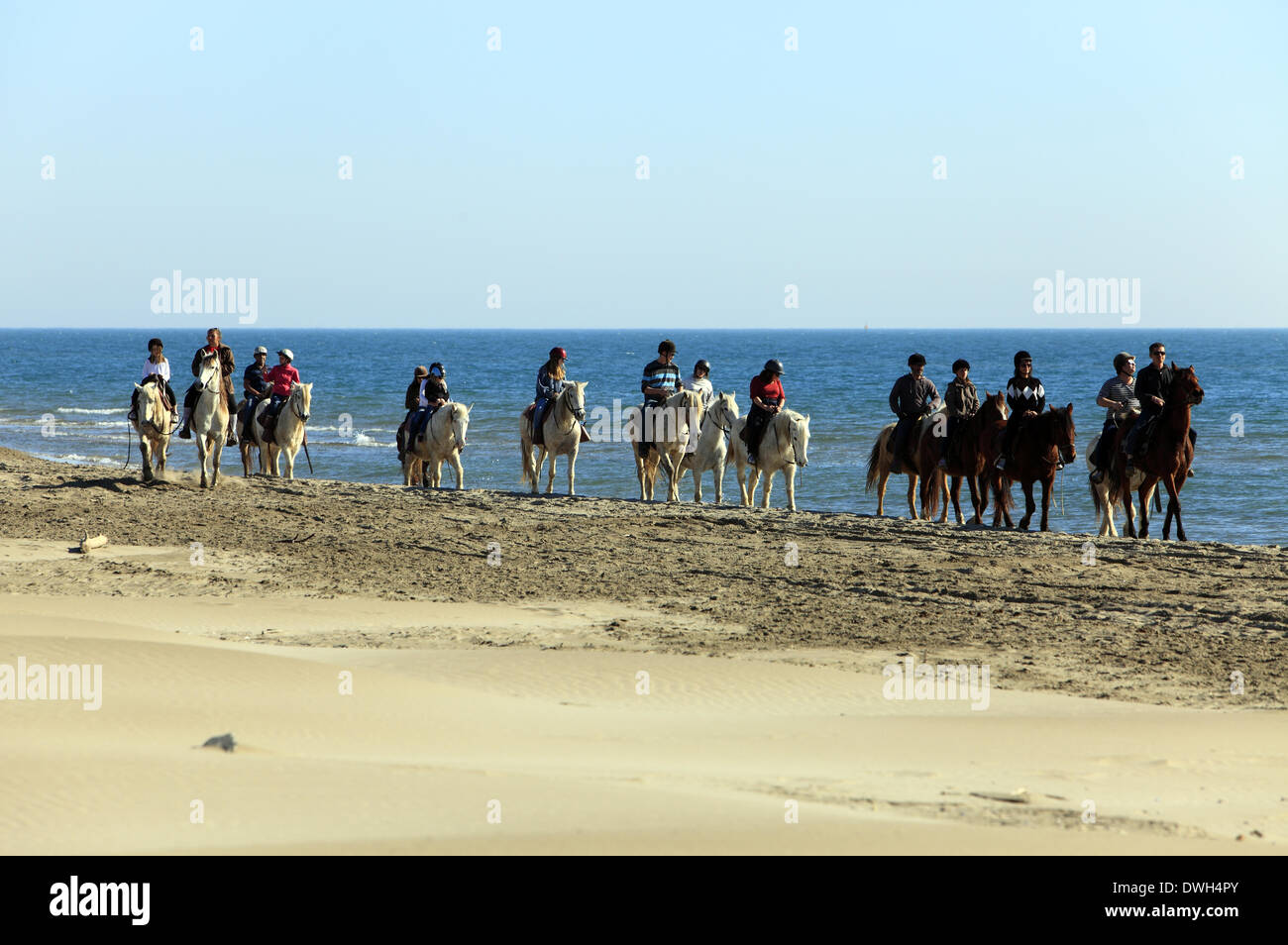 Le Grau Du Roi, Languedoc Roussillon, France 8th March, 2014. Horseback riding in the sea on the beach Espiguette in Languedoc Roussillon. Credit:  Digitalman/Alamy Live News Stock Photo