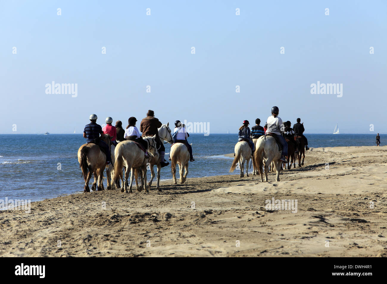 Le Grau Du Roi, Languedoc Roussillon, France 8th March, 2014. Horseback riding in the sea on the beach Espiguette in Languedoc Roussillon. Credit:  Digitalman/Alamy Live News Stock Photo