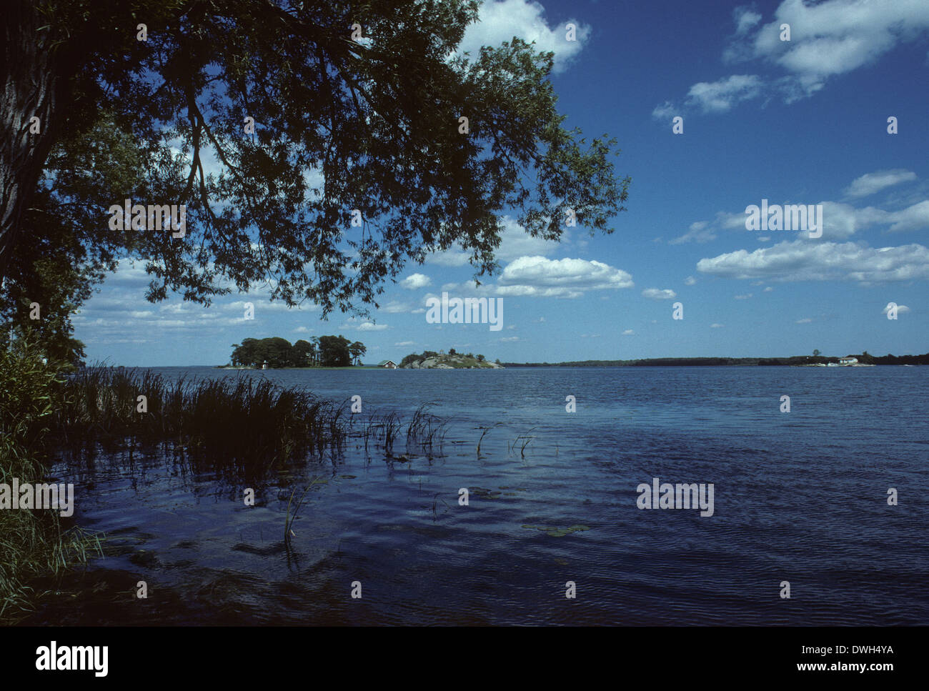 St Lawrence River, Mallorytown, Ontario, Canada Stock Photo Alamy