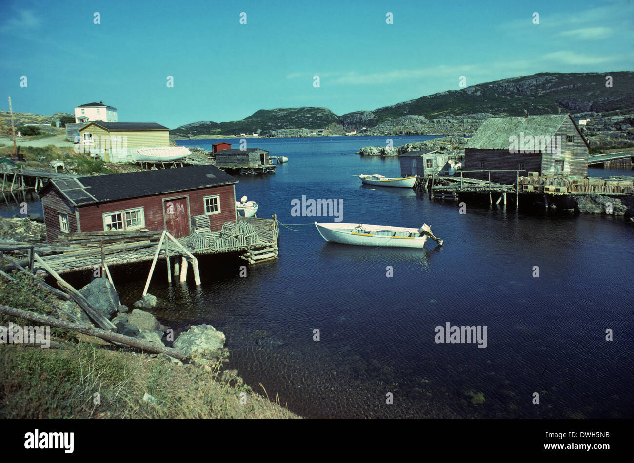 Fishing village, Salvage, Newfoundland, Canada Stock Photo Alamy