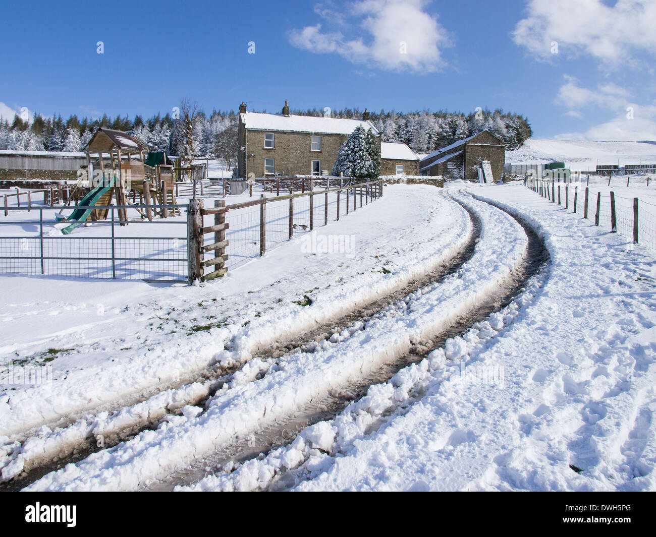 Vehicle Tracks in the Snow, Teesdale Stock Photo