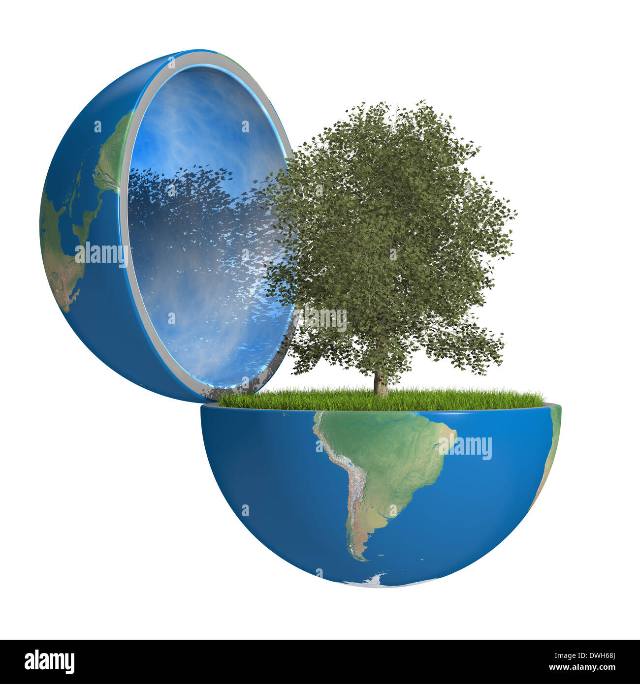 Planetree growing inside opened planet Earth, isolated on white background, concept of ecology. Elements of this image furnished by NASA Stock Photo