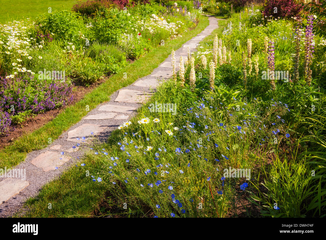 Summer garden with paved path and blooming wildflowers Stock Photo - Alamy