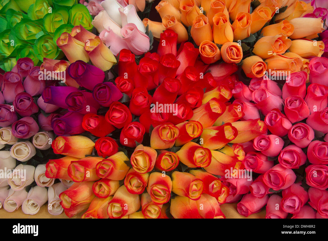colorful colored flowers colors Stock Photo Alamy