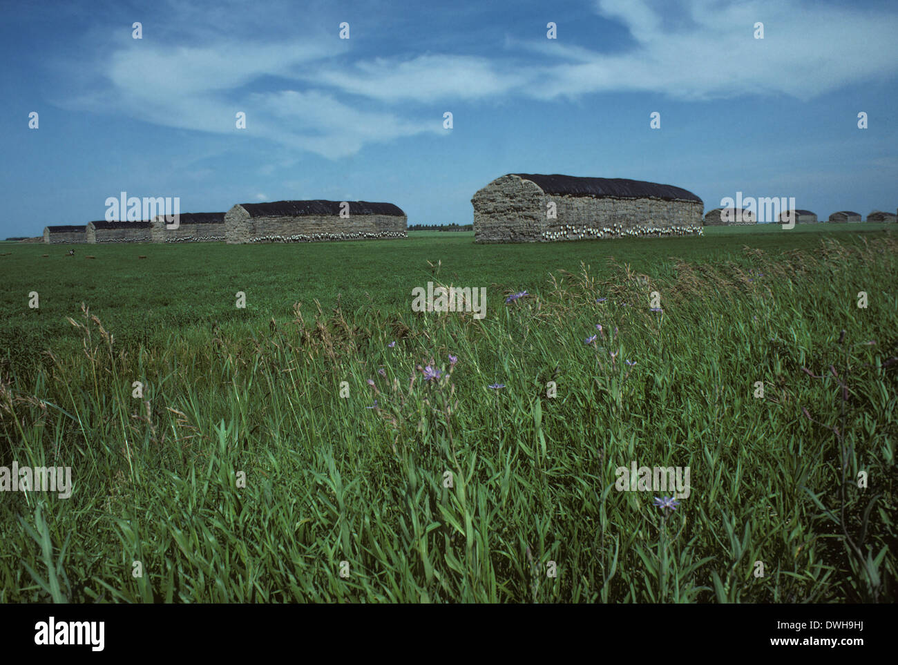 Giant straw bale structures, Oak Bluff, Manitoba, Canada Stock Photo