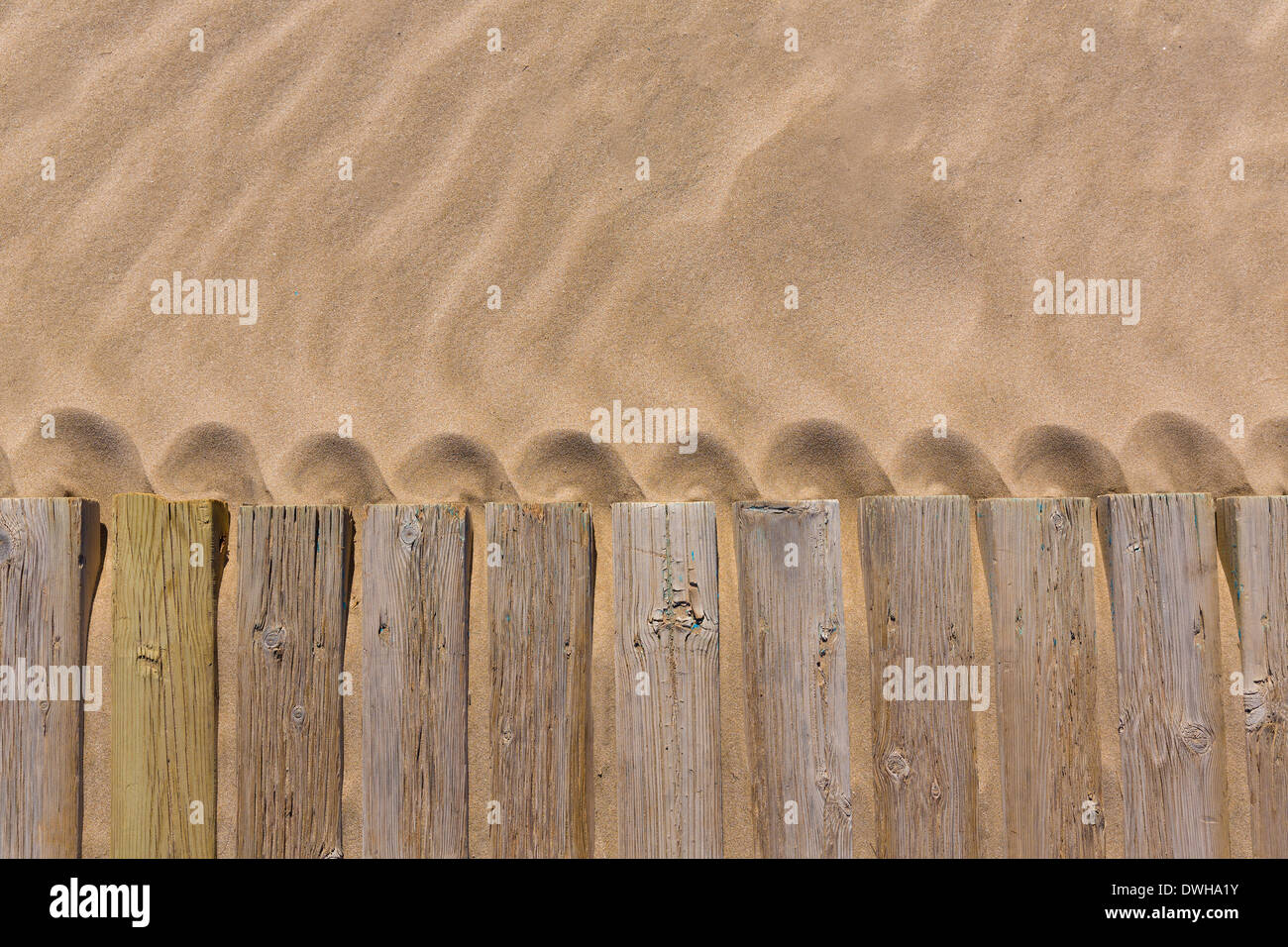 pine wood deck weathered in beach sand pattern texture detail Stock Photo
