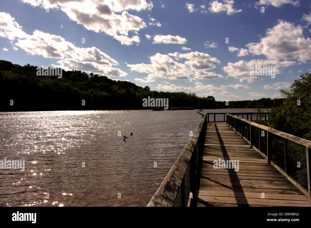 The marshland at Lake Redman. York County, PA Stock Photo Alamy