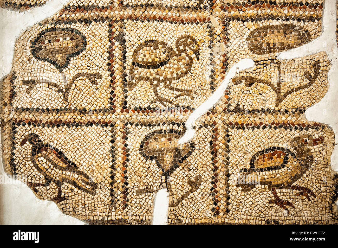 Antakya Archaeology Museum High Resolution Stock Photography and Images ...