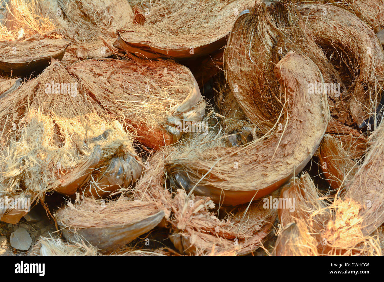 closeup coconut husk ; coconut husk has many usage Stock Photo Alamy
