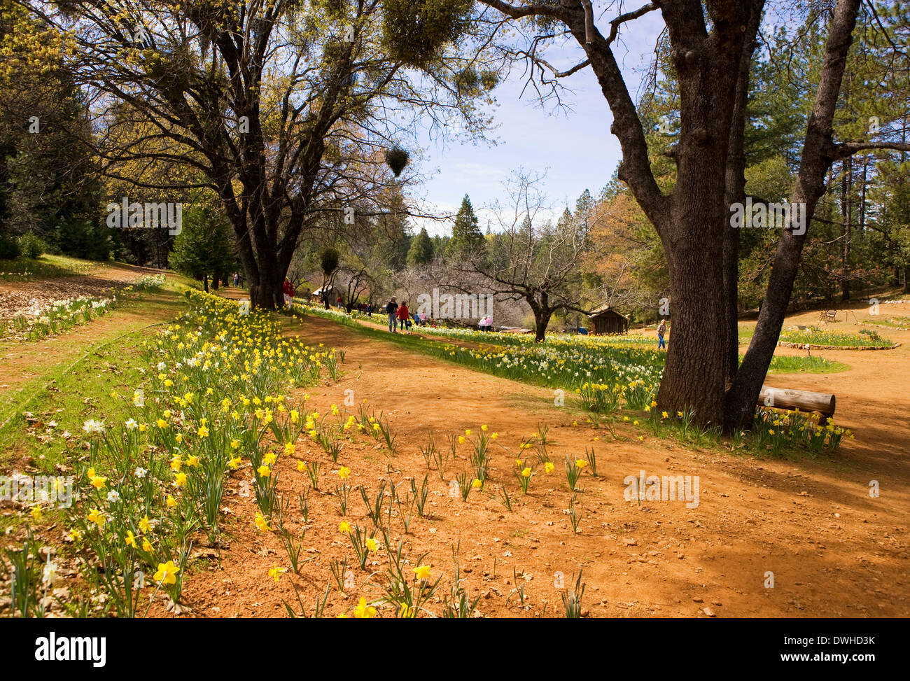 Sutter creek california hires stock photography and images Alamy