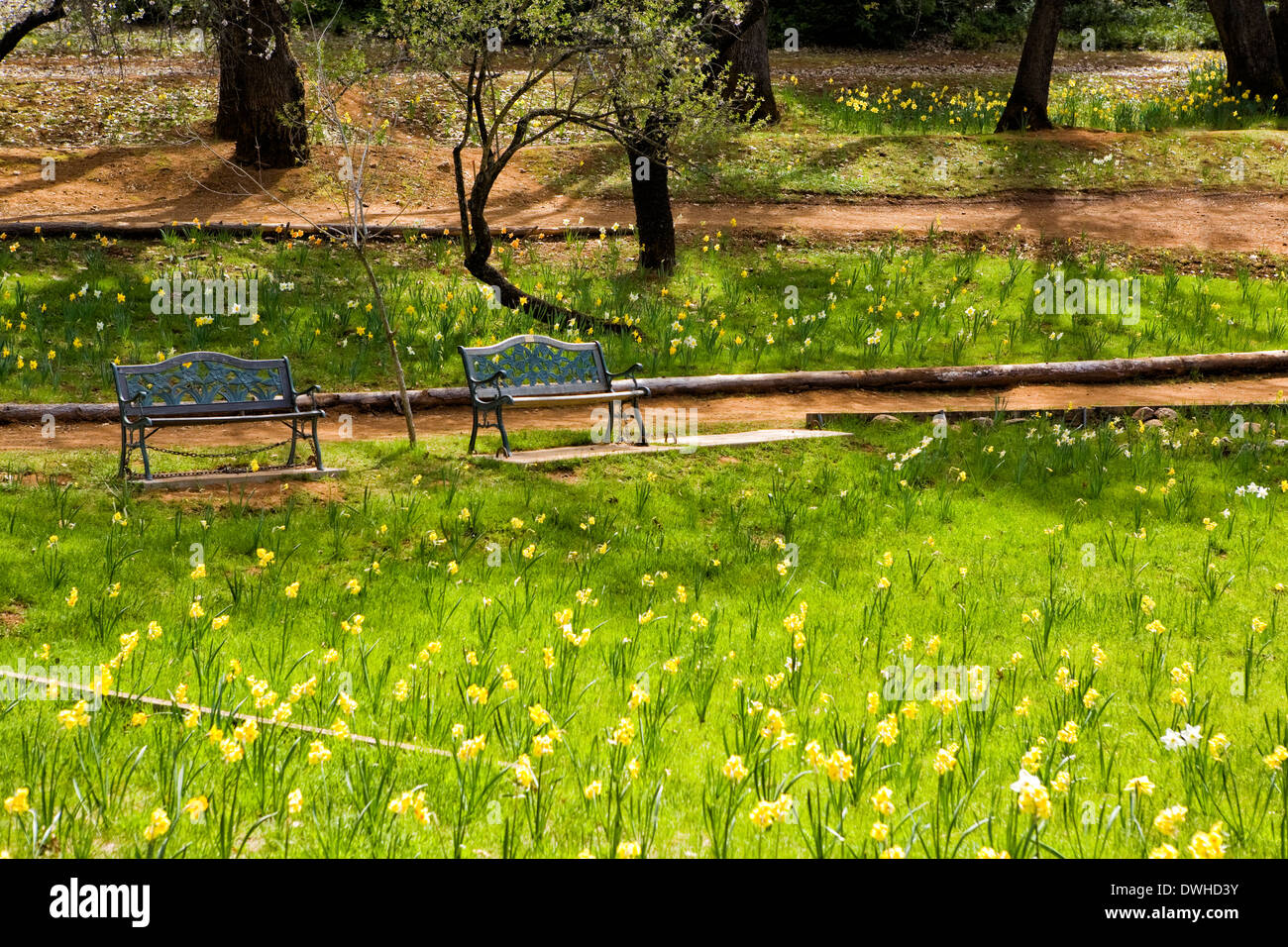 Sutter creek california High Resolution Stock Photography and Images