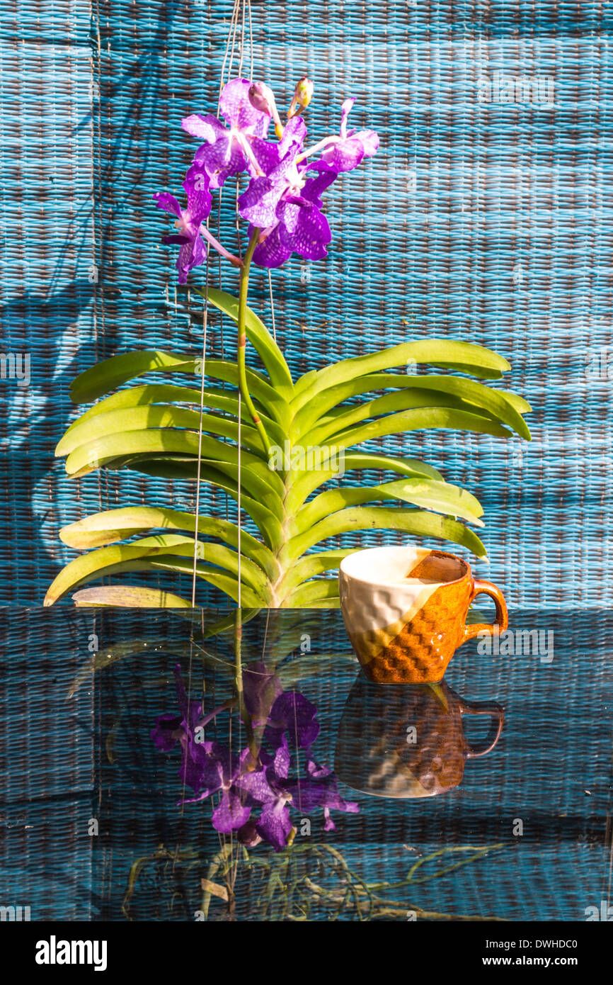 Still Life Coffee Cup  White Purple Vanda Orchid Stock Photo