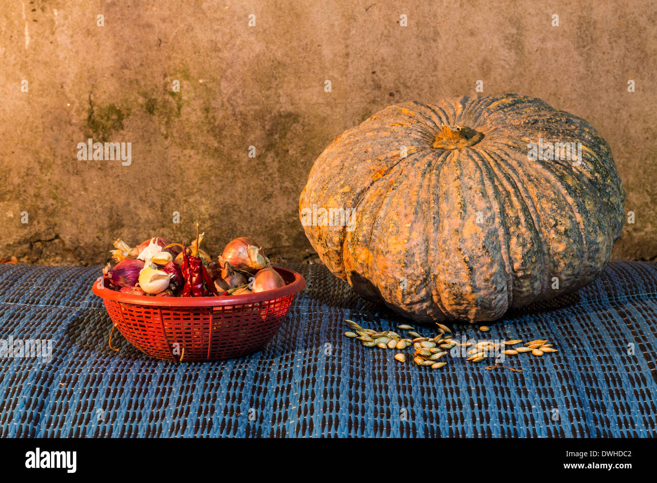 Still Life - pumpkin, dried chilli, shallots, and garlic  And Pumpkin Seeds Stock Photo