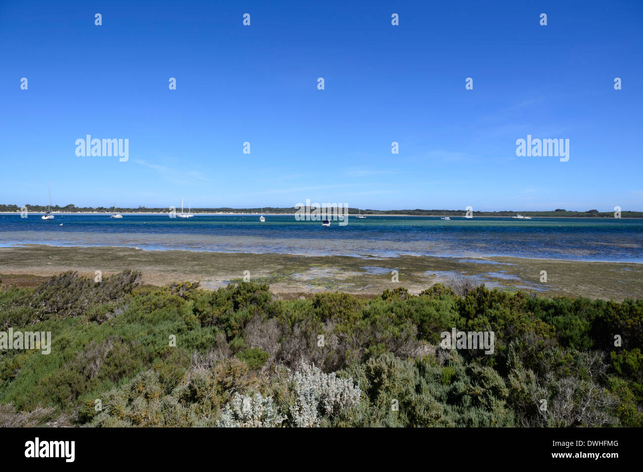 American river kangaroo island south hires stock photography and