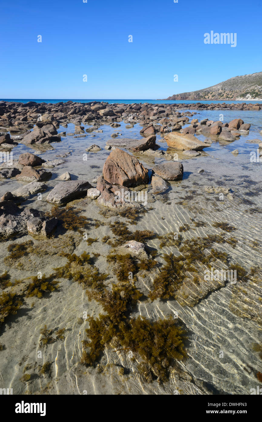 Stokes Bay, Kangaroo Island, South Australia, SA, Australia Stock Photo