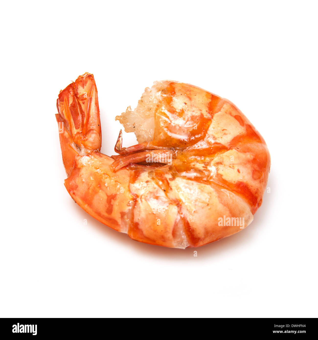 King prawn shrimp hires stock photography and images Alamy