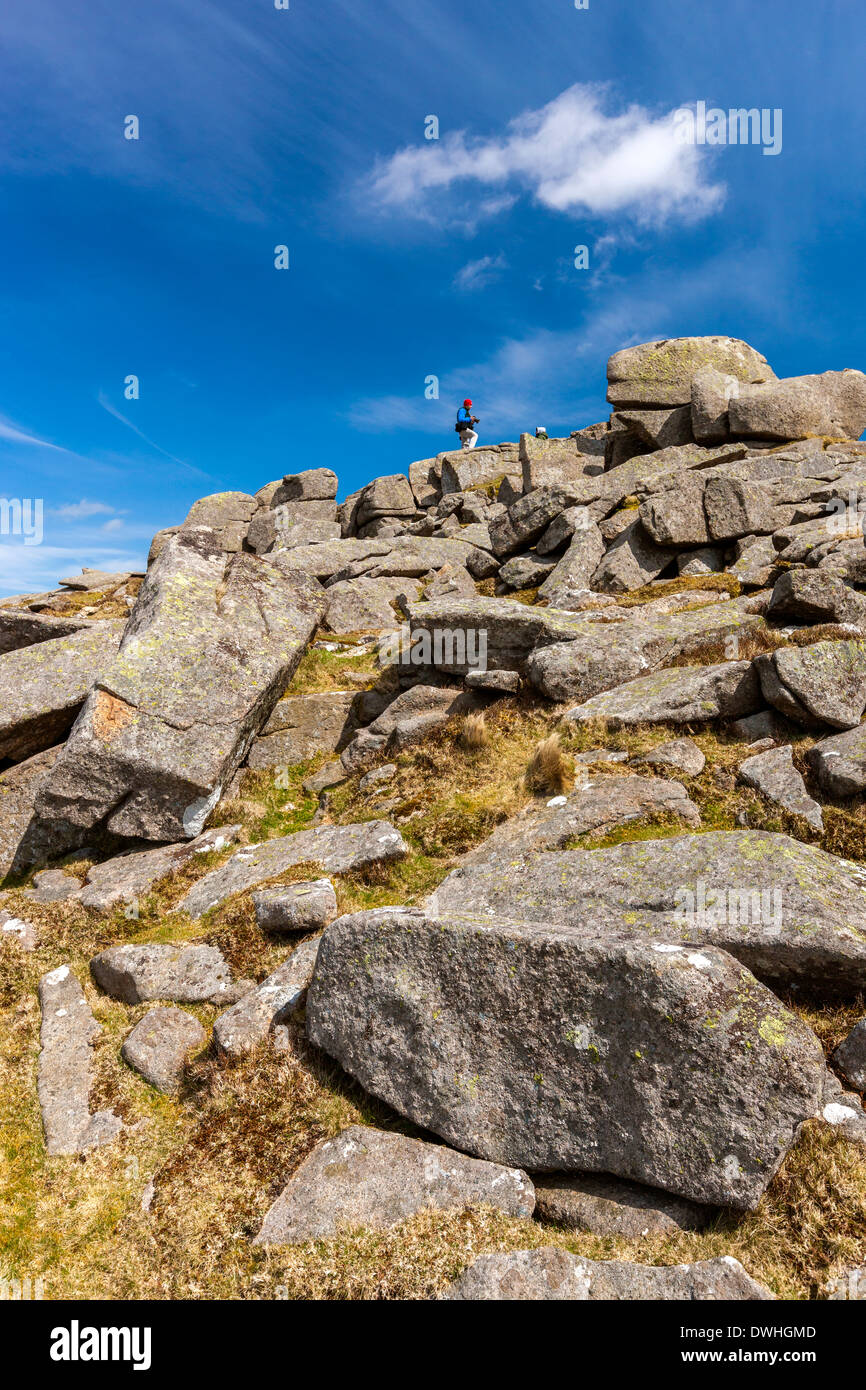 Belstone Common, Dartmoor National Park, Belstone, West Devon, England