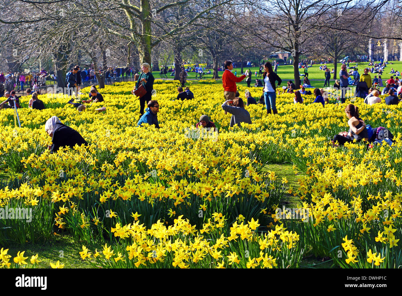 Warm Weather Spring
