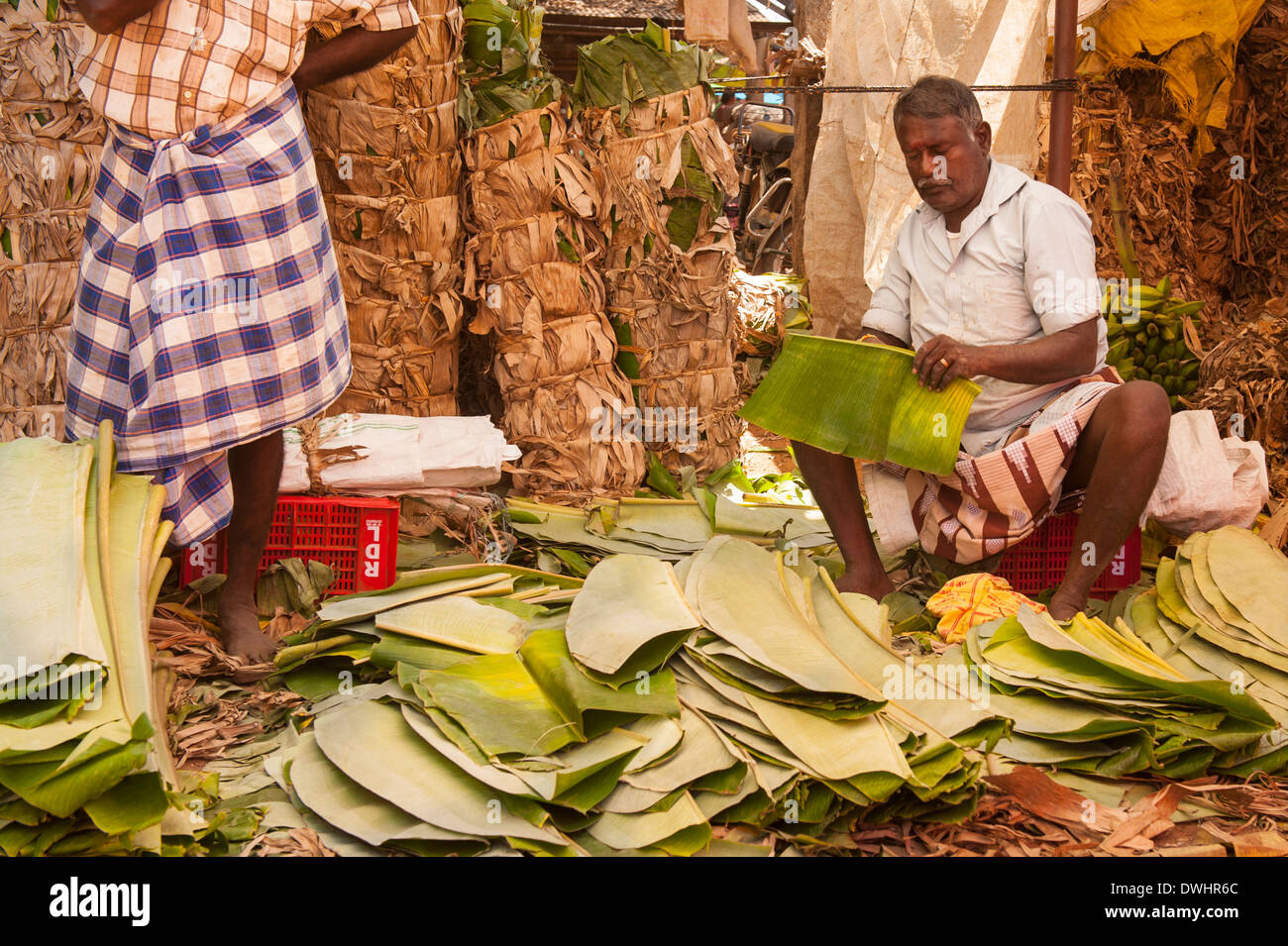 Tamil Nadu Farmers High Resolution Stock Photography and Images - Alamy