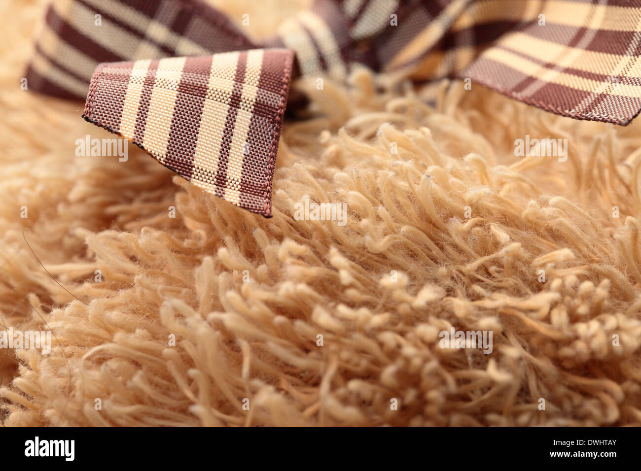 Satin bow on brown teddy bear Stock Photo - Alamy